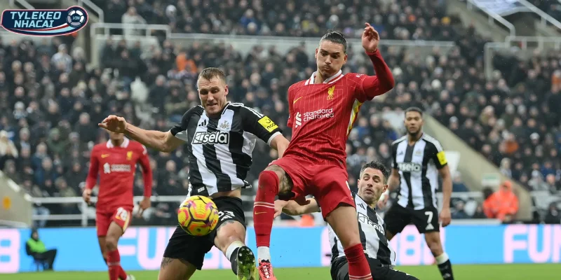 Thông tin, phong độ mới nhất Liverpool vs Newcastle
