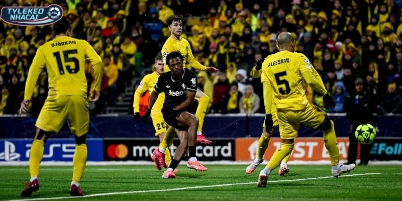 Thông tin phong độ Bodø / Glimt vs Inter Milan trước trận