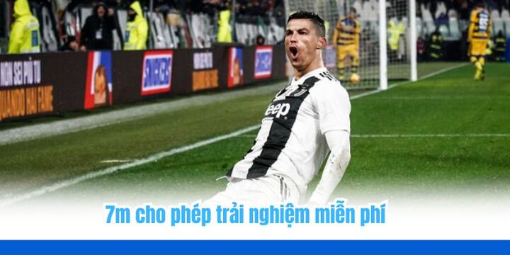 FAQ - Tổng hợp các câu hỏi thường gặp về 7m