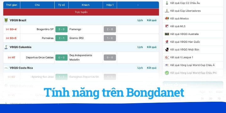 Những nội dung chính khi theo dõi trang Bongdanet hiện nay