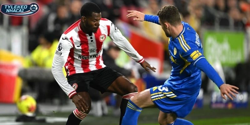 Tình hình Leeds United vs Brentford