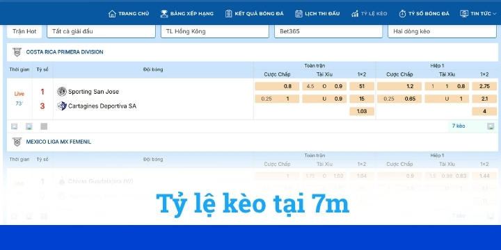 Tỷ lệ kèo bóng đá 7m được cung cấp đầy đủ