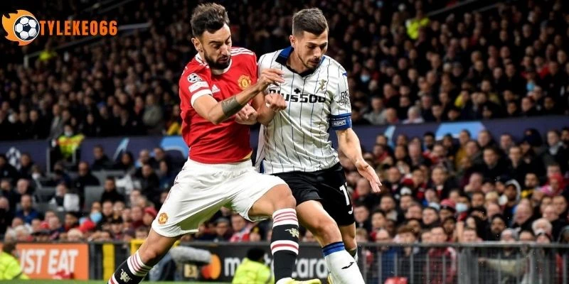 Chọn cửa Bờ Biển Ngà thắng cả trận khi soi odds 1x2