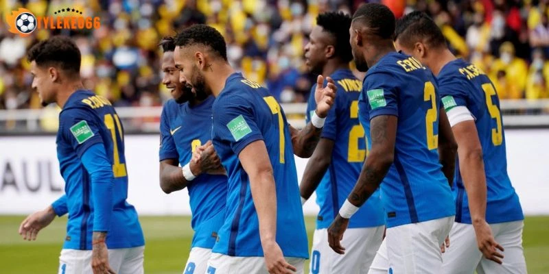 Chiến lược và đội hình cơ bản của Úc với Hoa Kỳ